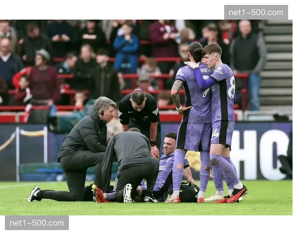 利物浦伤病情况不容乐观 多名主力球员处于恢复期